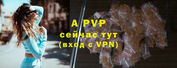 крисы Абаза