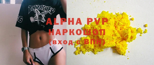 крисы Абаза