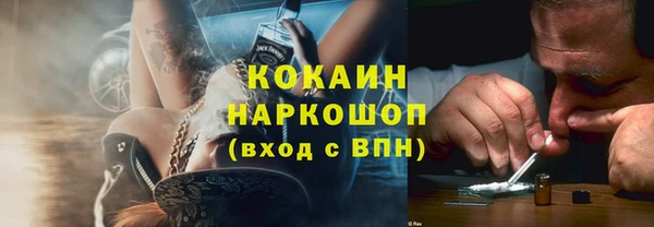 крисы Абаза