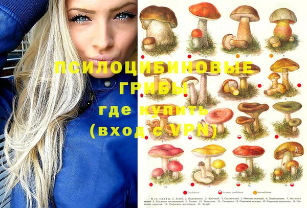 мяу мяу мука Абдулино