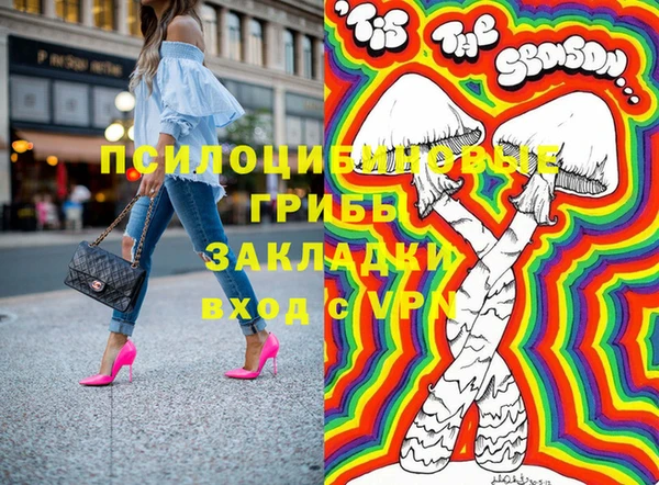 крисы Абаза