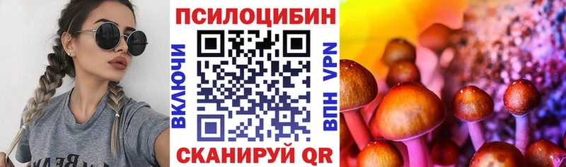 Псилоцибиновые грибы Psilocybe  Кинешма 
